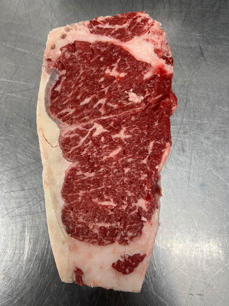 12 Pack New Yorker Bundle